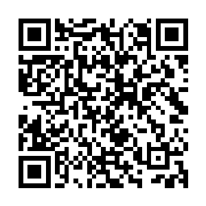 当时折袖和陈长生还觉得苟寒食等人对七间这个小师弟太过娇惯二维码生成