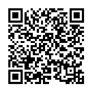 当时拓拔气韵站在一座已经叠有七八百具尸体的新坑边缘二维码生成