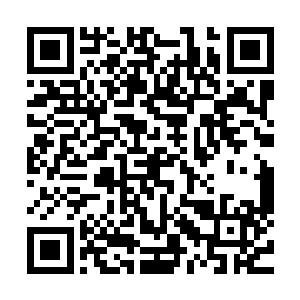 当时族里为了准备足够度过雪天的食物大部分的勇士都出去了二维码生成