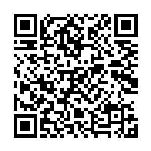 当时李书记似乎并没有明确反对陆海集团和嘉桓公司的进入二维码生成