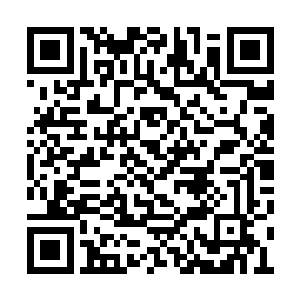 当时村长夫人因为一些鸡皮小事和大娘闹了矛盾二维码生成