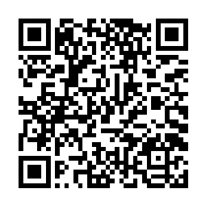 当时欣姐说的是把包括谢少峰在内的所有同学都赶走二维码生成