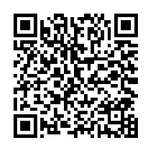 当时正在跟成国公主学习管理各种事物的周佩才得知情况后二维码生成