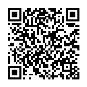 当时熊巨大哥外加我义兄赵禁和我表姐一同联手都败的很惨二维码生成