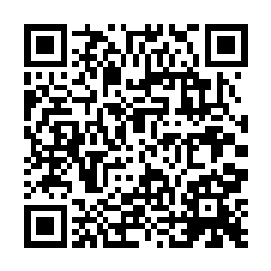 当时的时候也是给大少爷和大小姐她们两个人捧场去了二维码生成