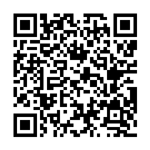 当时的杨晨自然也不可能说什么神啊信仰啊之类的东西二维码生成