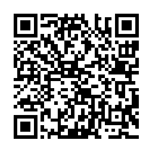 当时记者只是在询问玛丽亚关于她新专辑的筹备情况二维码生成