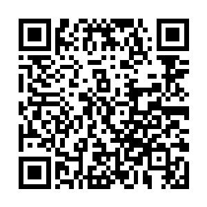 当时躺在地上的我完全没有想到惠子会做出这种行为二维码生成