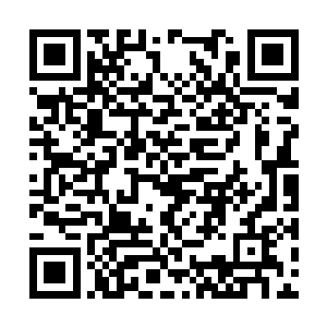 当时还以为你会在美国去替我看看葫芦娃的提前场二维码生成