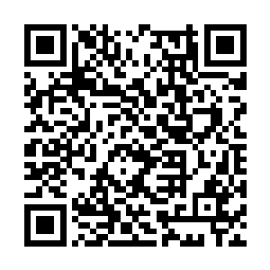 当时远远看过常年悬浮在紫幽派上空的那紫幽宝山二维码生成