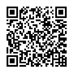 当时马氏只说希望能安安生生的将顾二娘子打发出去二维码生成