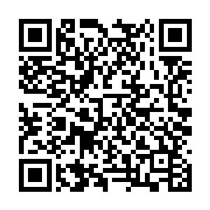 当晚力退遮天盟与山本一族的狄布三人也赫然在列二维码生成