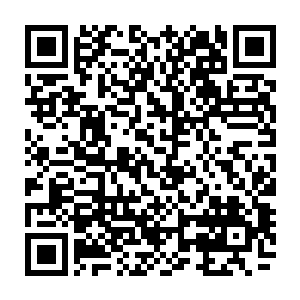 当晚节目的最高收视瞬间出现在雨果宣布荣耀至死即将展开新一轮巡演之后二维码生成