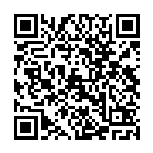 当最低调阴险暗搓搓的楼兰庭第一个喊出那激动人心的二维码生成
