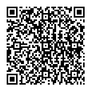 当最后张承安和张承泽他们一个个认真的排着队站在爱梅和爱雪两姐妹面前叫两个人婶婶的时候二维码生成