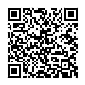 当朱文才把五行神针的所有手法都演示一遍之后二维码生成