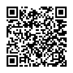 当朱路将各种灵草按照一定顺序全部放入青铜鼎当中后二维码生成