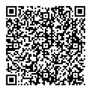 当杀上茅山的一刹那 就不是三年之约 而是自远古开始 当诅咒蔓延的那一刻 就在等着今天 等着他迈出的第一步二维码生成