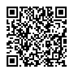 当李思辰和姜军看清楚了这只巨型蜘蛛的模样后二维码生成