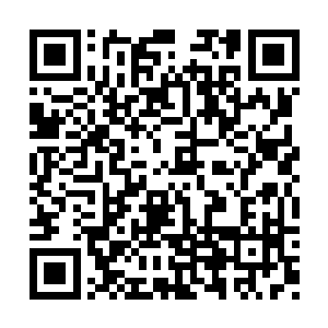 当杨辰的身影穿过茱蒂与红衣主教布鲁诺的面前二维码生成