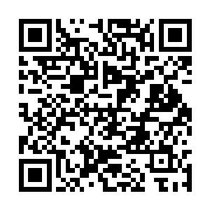 当杨铁将一大堆那种没有炮制的原料倒入液体里时二维码生成