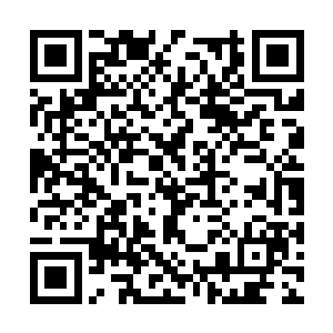 当杨风听到这个借口的时候直接的就没有反应过来二维码生成