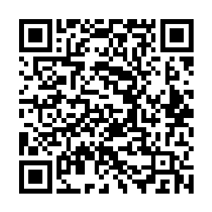 当杨风给她说想要将永恒之果给她或者说是妞妞的时候二维码生成