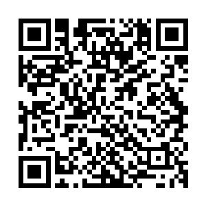 当杨风身上那股力量消失之后命运主宰才了解了杨风的真实情况二维码生成