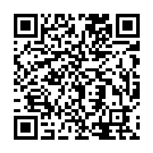 当梁海山知道楚暮的目的是要挑战更高级剑楼的居住权二维码生成