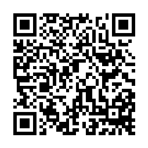 当梓箐注意到越过她跑到后面的人发出绝望哀嚎时二维码生成