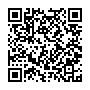 当楚中元的拳头马上就要狠狠砸到林烽脑袋的时候二维码生成