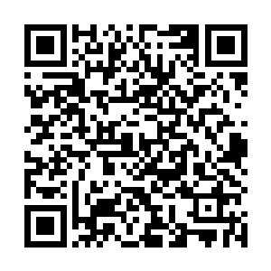 当母亲把自己所有关于吃喝住行方面的疑惑都问完之后二维码生成