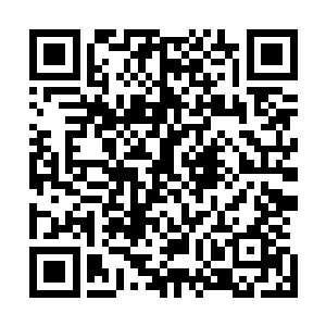 当注意到是城南秣陵关培育的灰头白羽信鸽且还带着急报后二维码生成