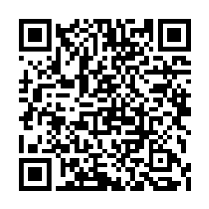 当洒迭看到那桌上琳琅满目的各种仙食和饮品后二维码生成