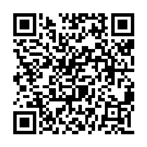 当海丝曼妙的桐体宛若新生的婴儿一般赫然眼前二维码生成