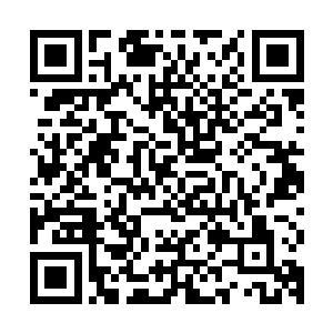 当满腔怒火的警备队成员在安德烈号令下从丛林里冲出来的时候二维码生成