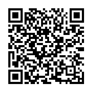 当潜艇抵达了系统提示的那个坐标岛屿附近海面的时候二维码生成