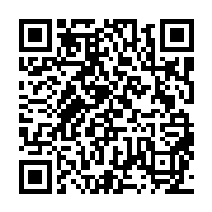 当烟尘被风吹走之后云峥才发现张陟这家伙竟然早就跑了二维码生成