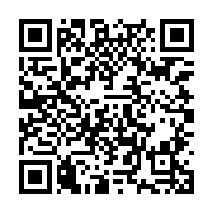 当然――如果她不是一个艰难度日的单身母亲的话二维码生成