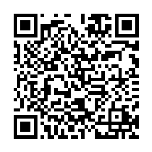 当然……其中一个已经被两个警察又警棍给砸得生死不知了二维码生成