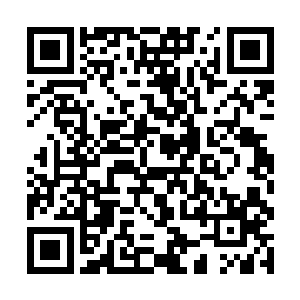 当然……如果江少游真要尽心尽力地给他们治疗的话二维码生成