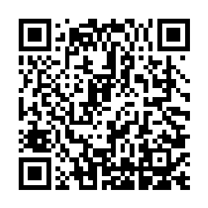 当然不知道眼前这位可不是位看起来很好骗的白纸少年二维码生成