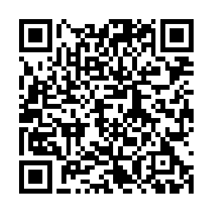 当然也就好好地逗弄眼前这个重色网友的小伙伴了二维码生成