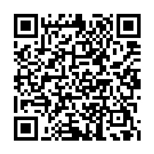 当然也控制住了大量最先进的战斗傀儡和无人机二维码生成