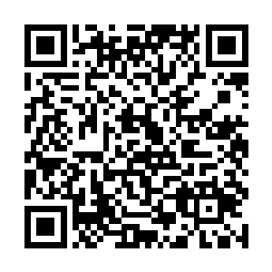 当然也无法预测这桩桩件件的事情是会在无声中平息二维码生成