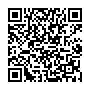 当然也有一些问题是的确是解决问题时机尚不成熟的原因二维码生成
