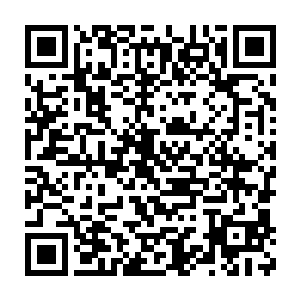 当然也有少数不要命的盗墓贼偷偷地想要从山体另一侧打盗洞强行进入二维码生成