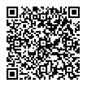 当然也有那种宁可抱着自己的财产同归于尽也不愿意去面对一个什么都没有的未来的人二维码生成