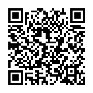 当然了为了储存食物他们把果粉给珍重的收起来了二维码生成