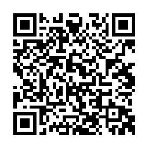 当然了作为一个宗门的护宗大阵除了防御力之外二维码生成